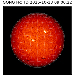 gong - 2025-10-13T09:00:22