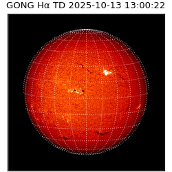 gong - 2025-10-13T13:00:22