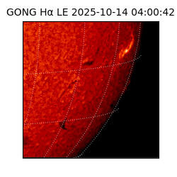 gong - 2025-10-14T04:00:42