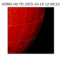 gong - 2025-10-14T12:00:22