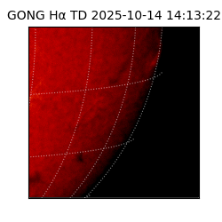 gong - 2025-10-14T14:13:22