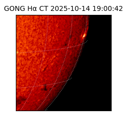 gong - 2025-10-14T19:00:42