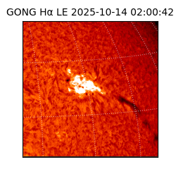 gong - 2025-10-14T02:00:42