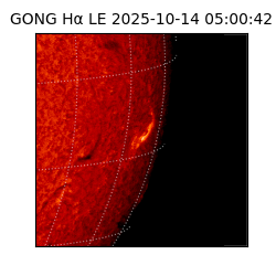 gong - 2025-10-14T05:00:42