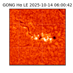 gong - 2025-10-14T06:00:42