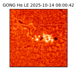 gong - 2025-10-14T08:00:42