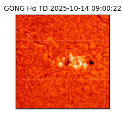 gong - 2025-10-14T09:00:22