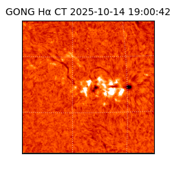 gong - 2025-10-14T19:00:42