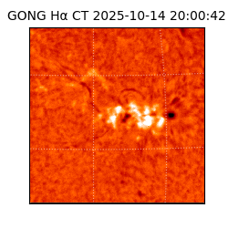 gong - 2025-10-14T20:00:42
