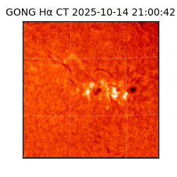 gong - 2025-10-14T21:00:42