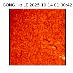 gong - 2025-10-14T01:00:42