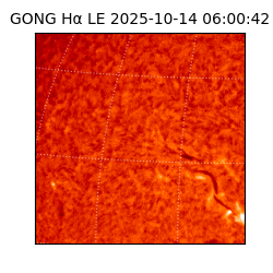 gong - 2025-10-14T06:00:42