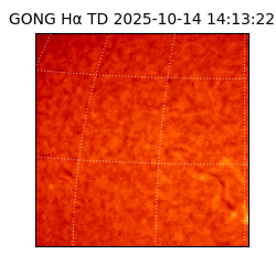 gong - 2025-10-14T14:13:22