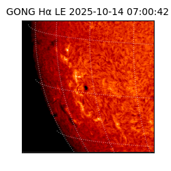 gong - 2025-10-14T07:00:42