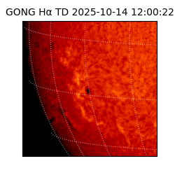 gong - 2025-10-14T12:00:22