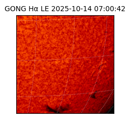 gong - 2025-10-14T07:00:42