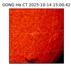 gong - 2025-10-14T15:00:42