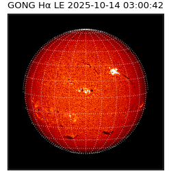 gong - 2025-10-14T03:00:42