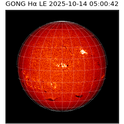 gong - 2025-10-14T05:00:42