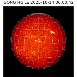 gong - 2025-10-14T06:00:42