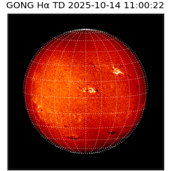 gong - 2025-10-14T11:00:22