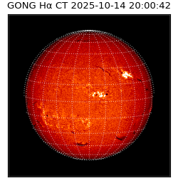 gong - 2025-10-14T20:00:42