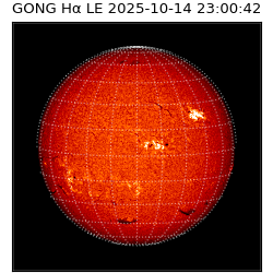 gong - 2025-10-14T23:00:42