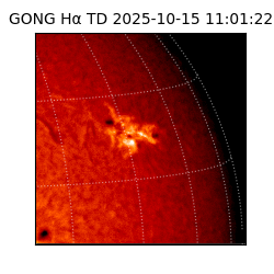 gong - 2025-10-15T11:01:22