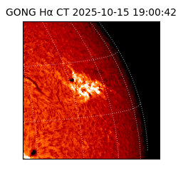 gong - 2025-10-15T19:00:42