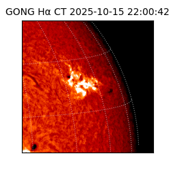 gong - 2025-10-15T22:00:42
