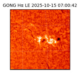 gong - 2025-10-15T07:00:42