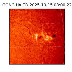 gong - 2025-10-15T08:00:22