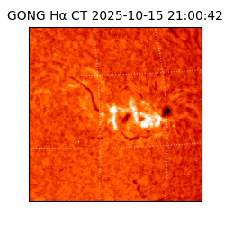 gong - 2025-10-15T21:00:42