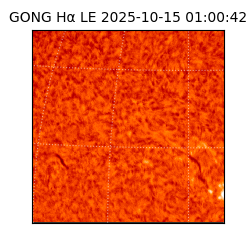 gong - 2025-10-15T01:00:42