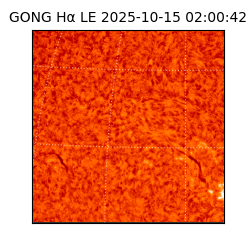gong - 2025-10-15T02:00:42