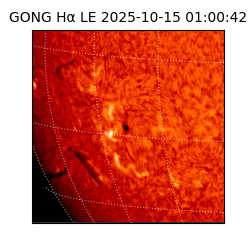 gong - 2025-10-15T01:00:42