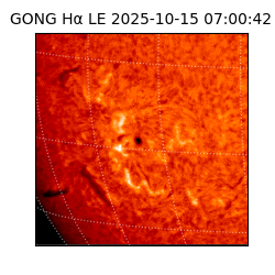 gong - 2025-10-15T07:00:42