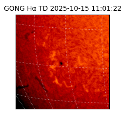 gong - 2025-10-15T11:01:22