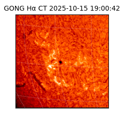 gong - 2025-10-15T19:00:42