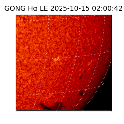 gong - 2025-10-15T02:00:42