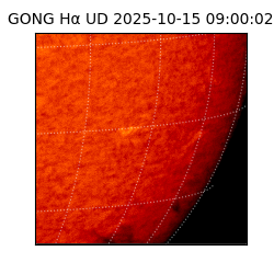 gong - 2025-10-15T09:00:02