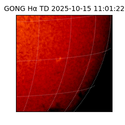 gong - 2025-10-15T11:01:22