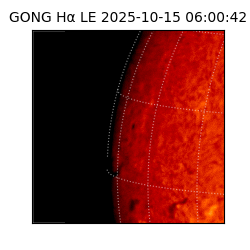 gong - 2025-10-15T06:00:42
