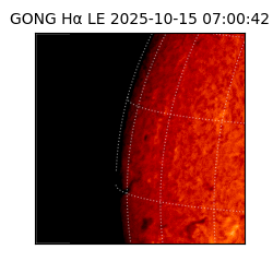 gong - 2025-10-15T07:00:42