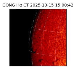gong - 2025-10-15T15:00:42