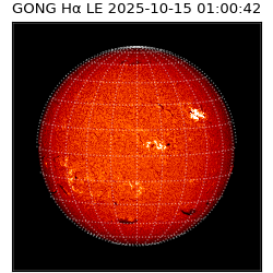 gong - 2025-10-15T01:00:42