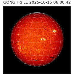 gong - 2025-10-15T06:00:42