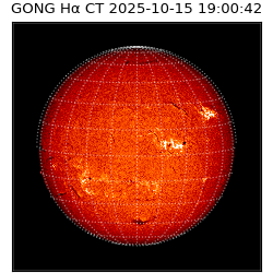 gong - 2025-10-15T19:00:42