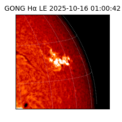 gong - 2025-10-16T01:00:42