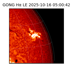 gong - 2025-10-16T05:00:42